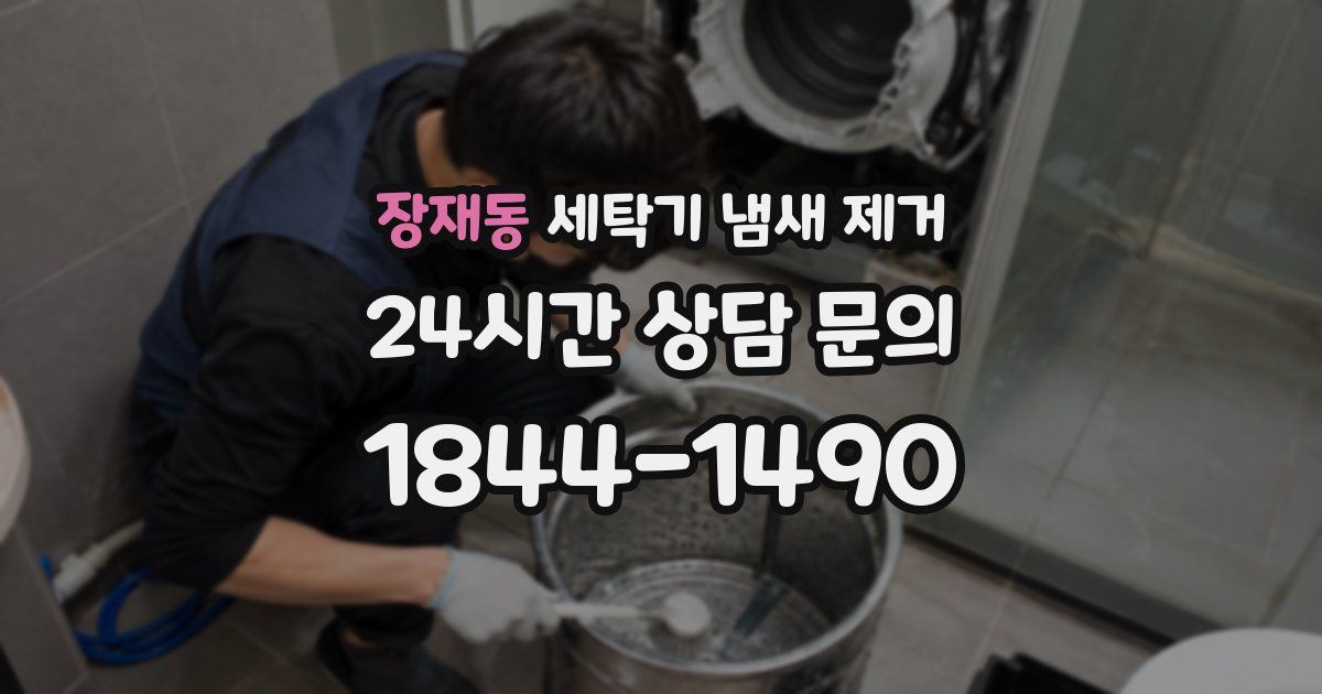 장재동 세탁기 냄새 제거