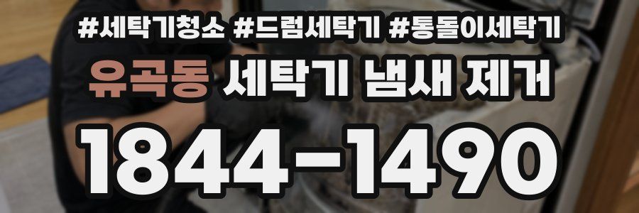 유곡동 세탁기 냄새 제거