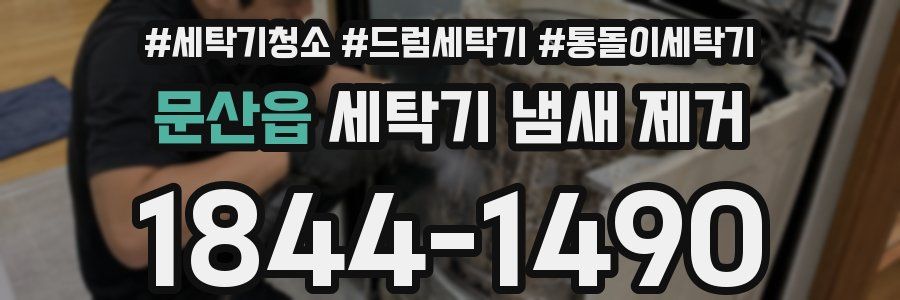 문산읍 세탁기 냄새 제거