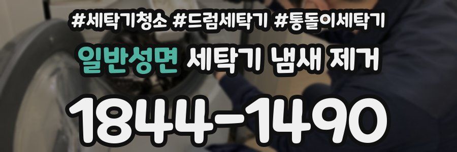 일반성면 세탁기 냄새 제거