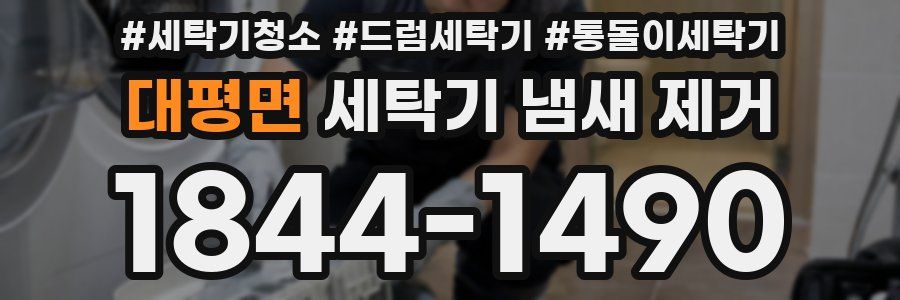 대평면 세탁기 냄새 제거