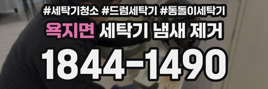 욕지면 세탁기 냄새 제거