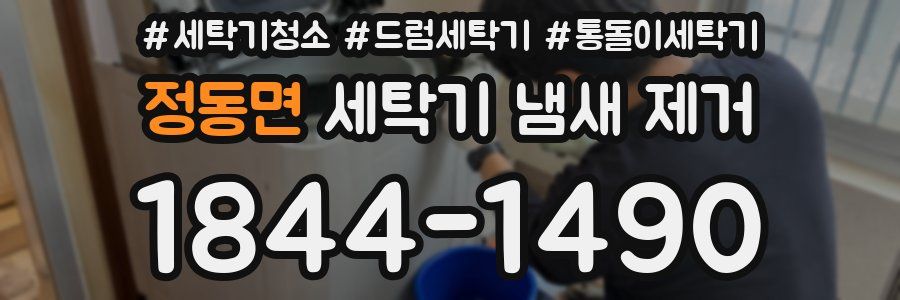 정동면 세탁기 냄새 제거