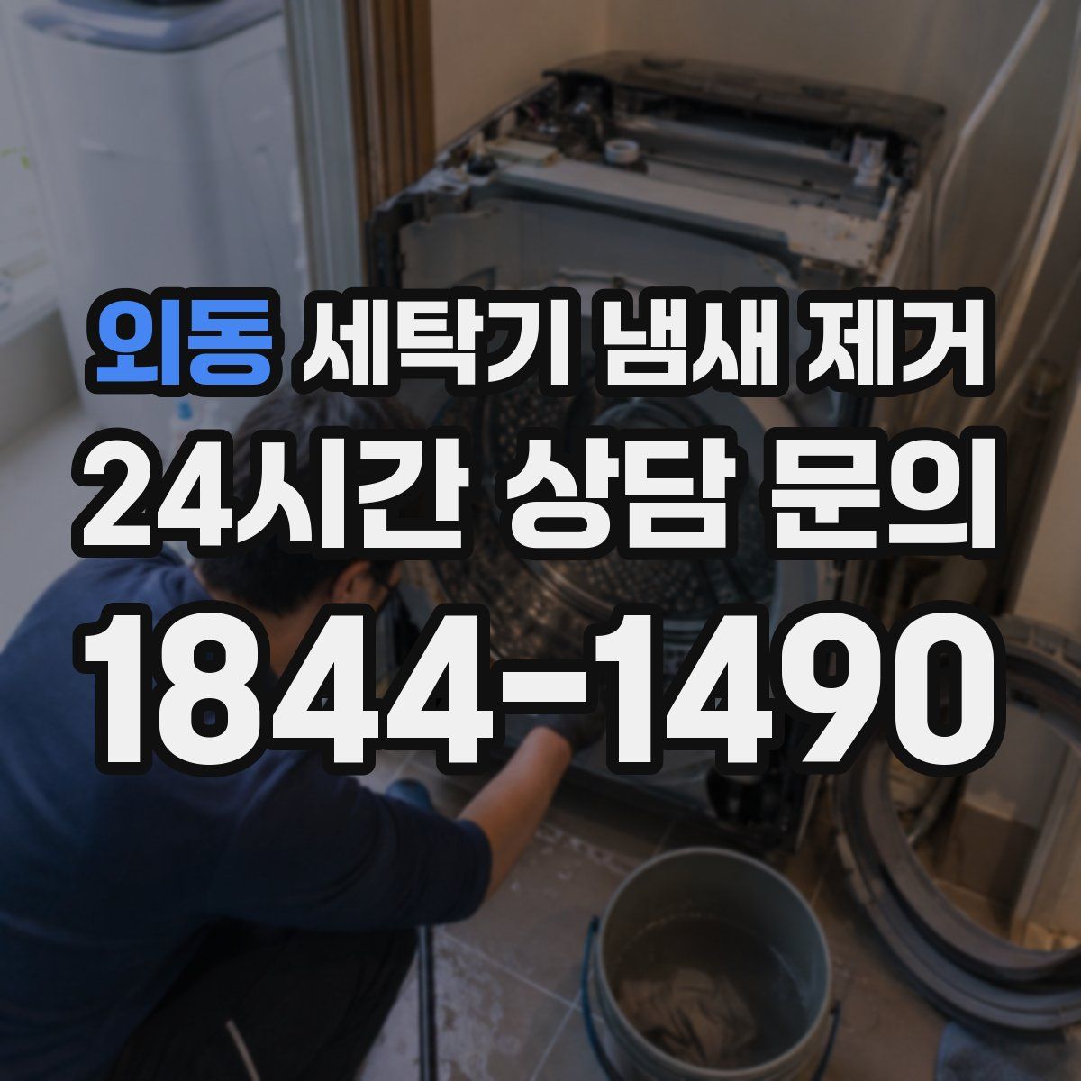 외동 세탁기 냄새 제거