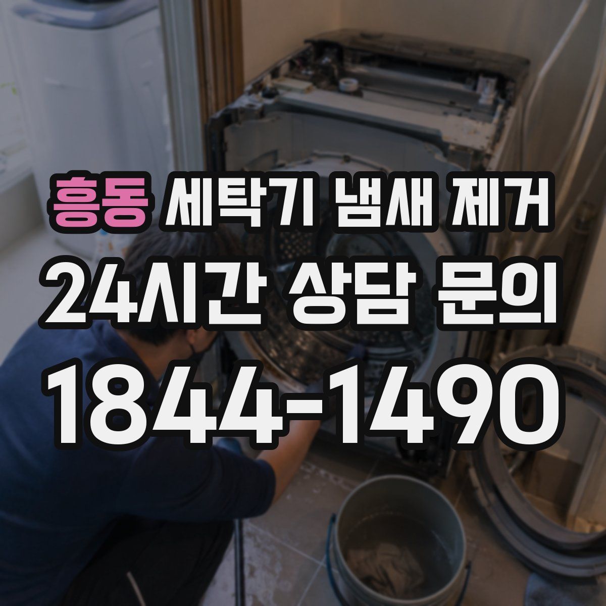 흥동 세탁기 냄새 제거