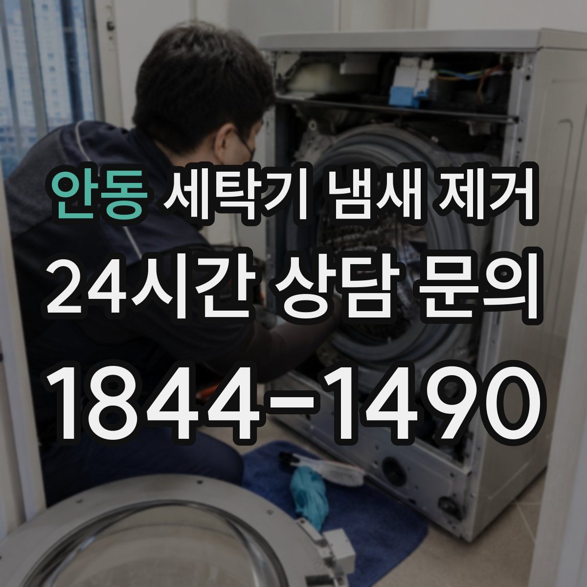 안동 세탁기 냄새 제거