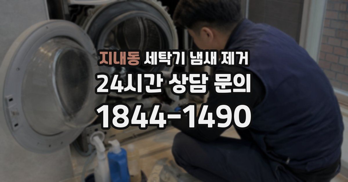 지내동 세탁기 냄새 제거