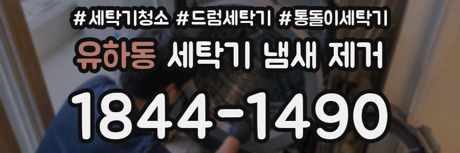유하동 세탁기 냄새 제거