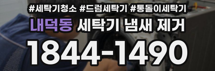 내덕동 세탁기 냄새 제거
