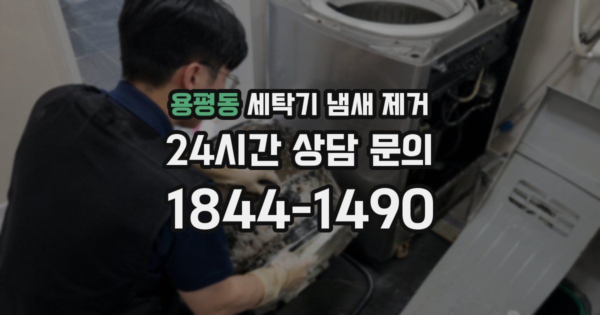 용평동 세탁기 냄새 제거
