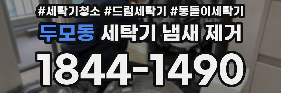두모동 세탁기 냄새 제거