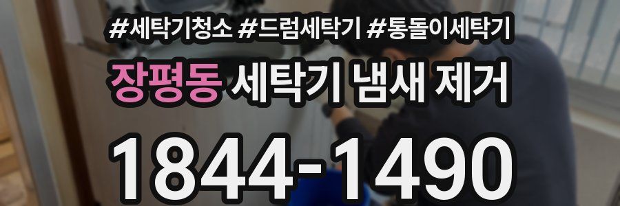 장평동 세탁기 냄새 제거