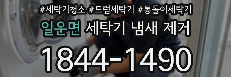일운면 세탁기 냄새 제거
