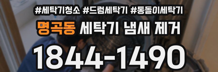 명곡동 세탁기 냄새 제거