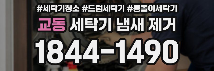 교동 세탁기 냄새 제거
