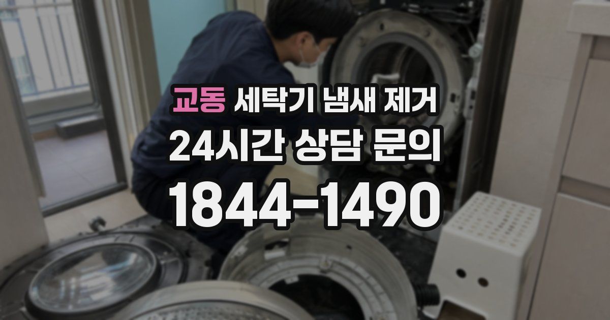 교동 세탁기 냄새 제거
