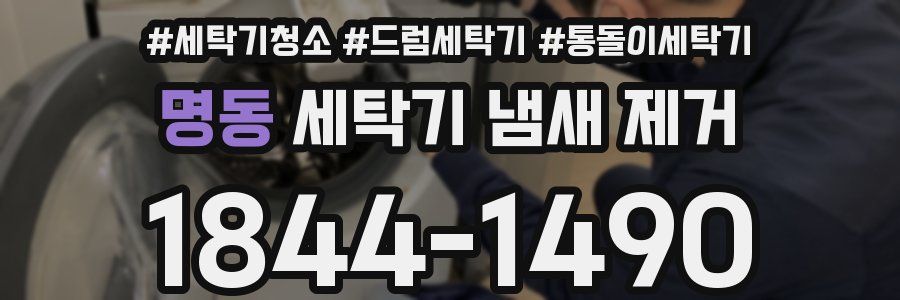 명동 세탁기 냄새 제거