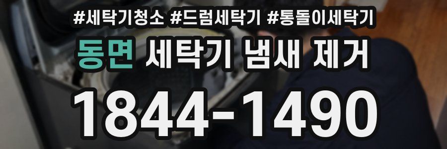 동면 세탁기 냄새 제거