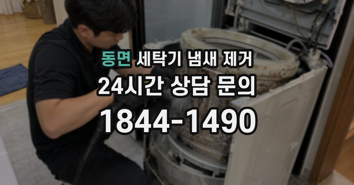 동면 세탁기 냄새 제거
