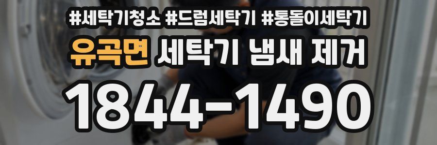 유곡면 세탁기 냄새 제거
