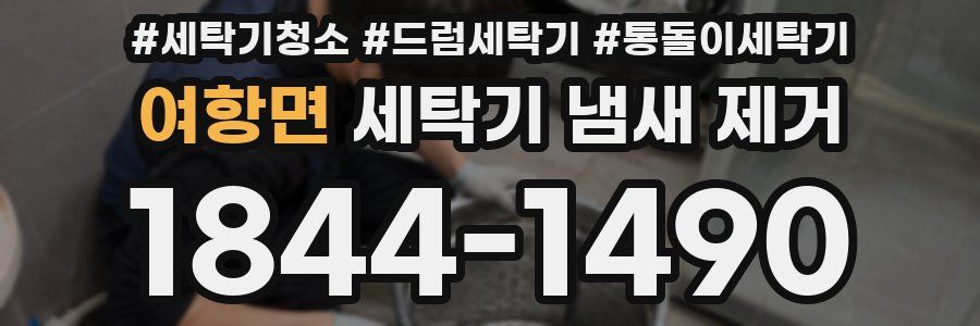 여항면 세탁기 냄새 제거