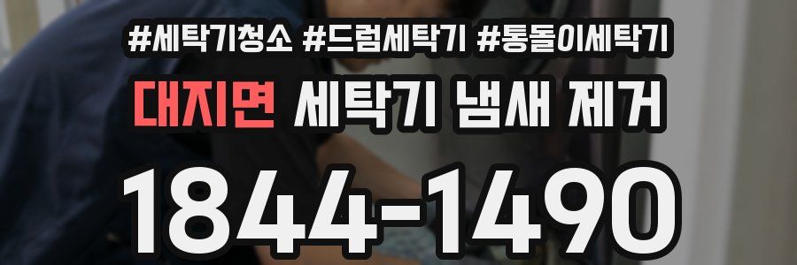 대지면 세탁기 냄새 제거