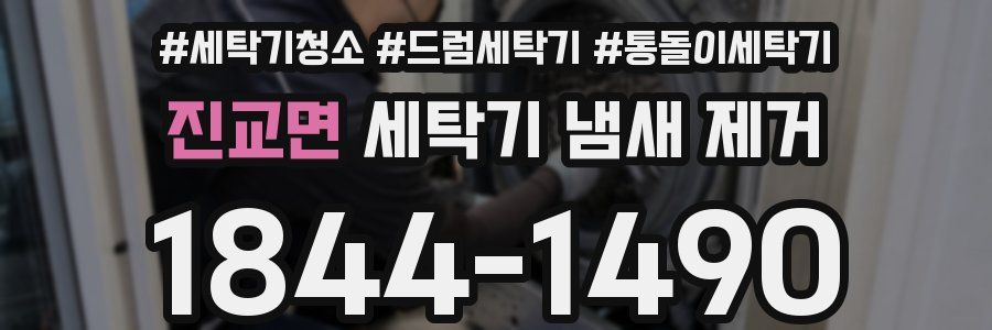 진교면 세탁기 냄새 제거