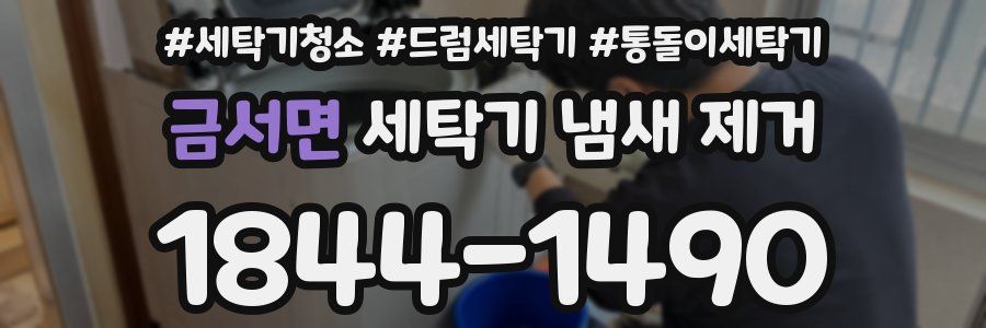 금서면 세탁기 냄새 제거