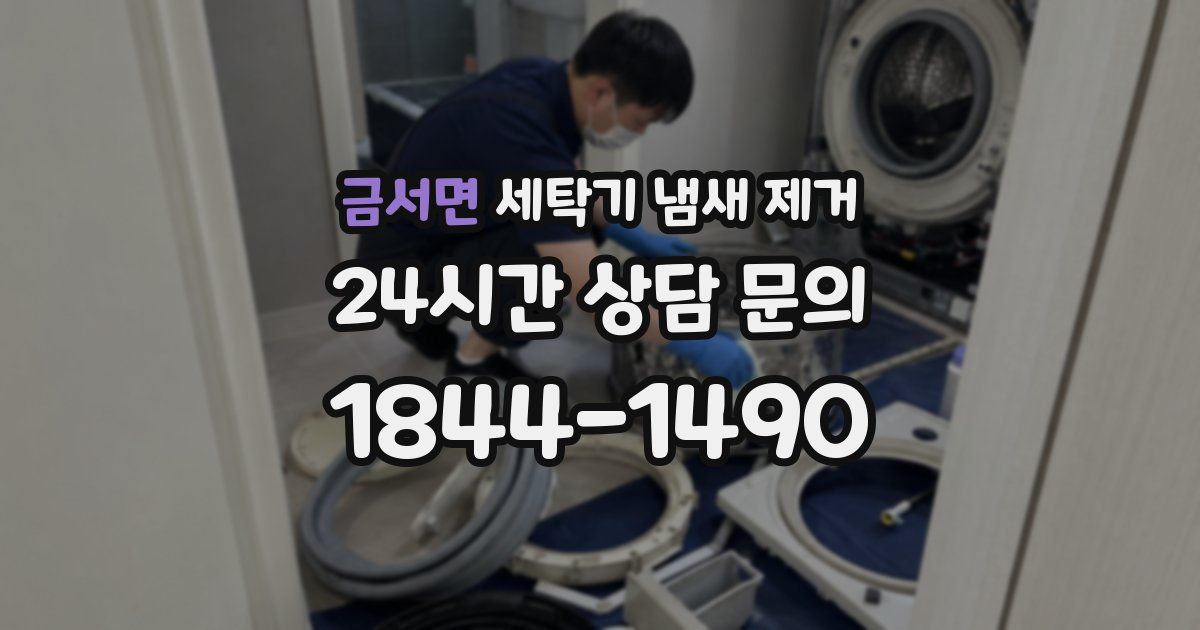 금서면 세탁기 냄새 제거