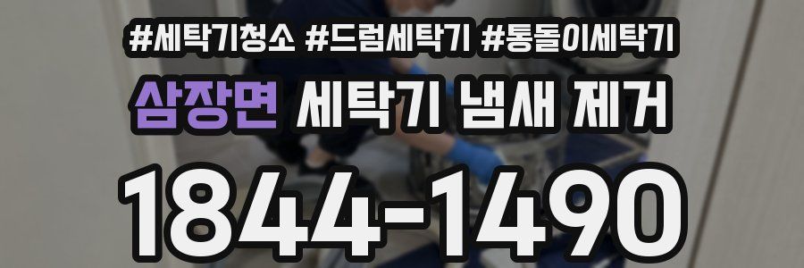 삼장면 세탁기 냄새 제거