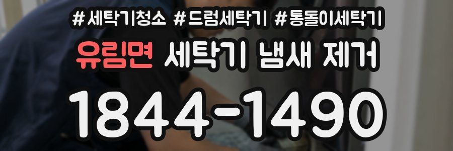 유림면 세탁기 냄새 제거