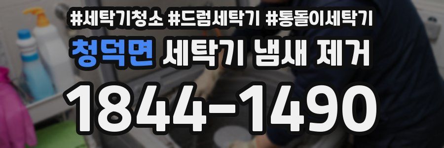 청덕면 세탁기 냄새 제거