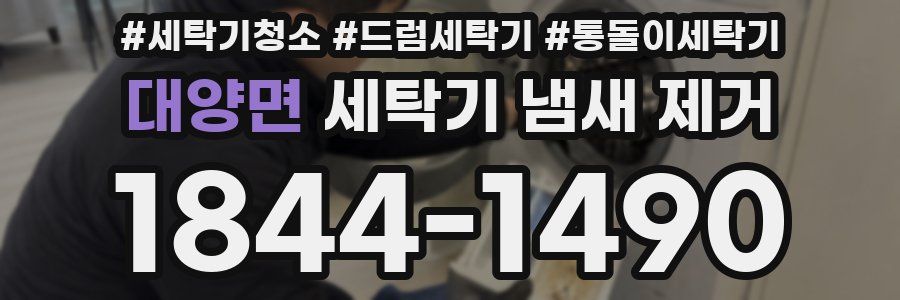 대양면 세탁기 냄새 제거