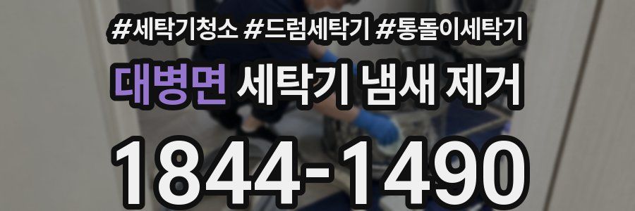 대병면 세탁기 냄새 제거