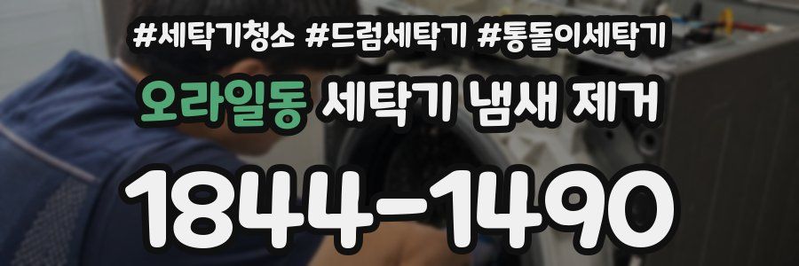 오라일동 세탁기 냄새 제거