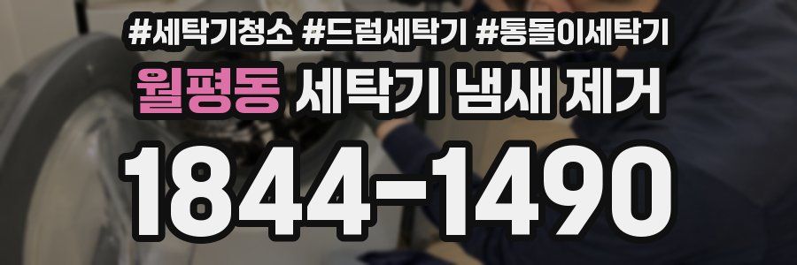 월평동 세탁기 냄새 제거