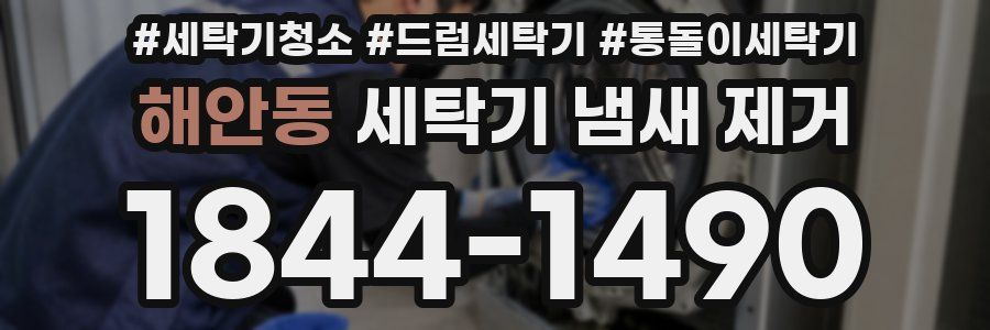 해안동 세탁기 냄새 제거
