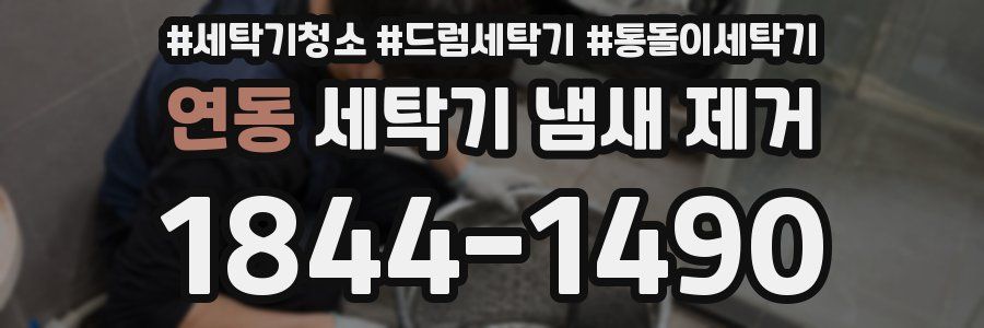 연동 세탁기 냄새 제거