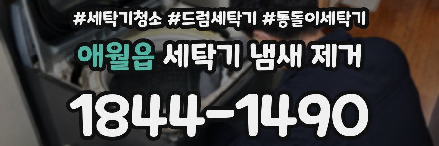 애월읍 세탁기 냄새 제거