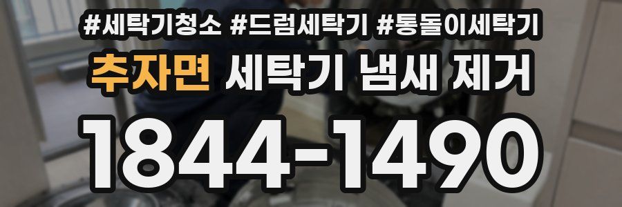 추자면 세탁기 냄새 제거