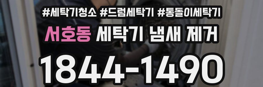 서호동 세탁기 냄새 제거