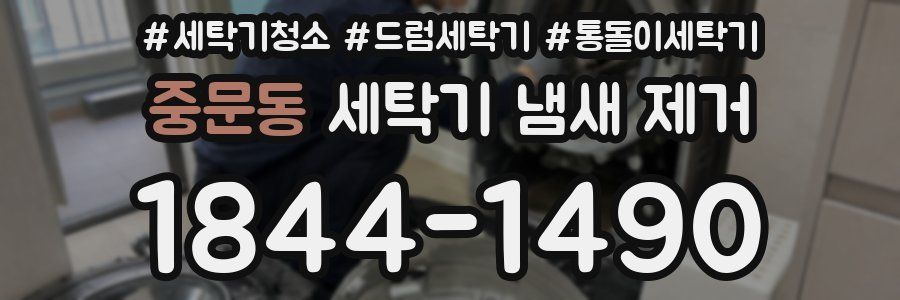 중문동 세탁기 냄새 제거