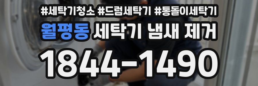 월평동 세탁기 냄새 제거
