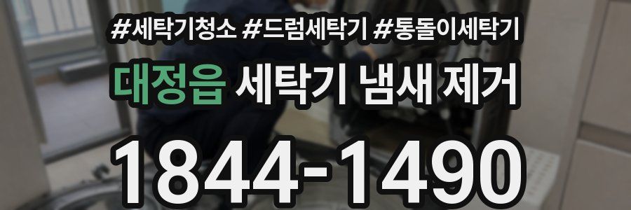대정읍 세탁기 냄새 제거