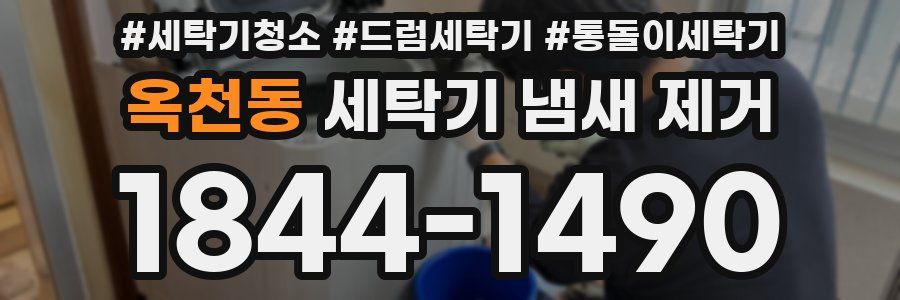 옥천동 세탁기 냄새 제거
