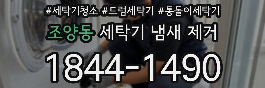 조양동 세탁기 냄새 제거