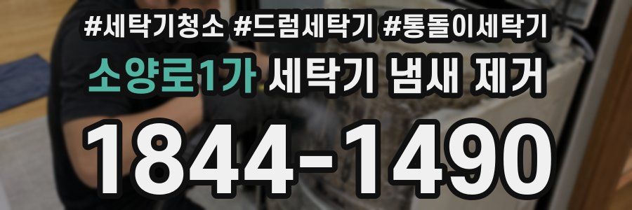 소양로1가 세탁기 냄새 제거