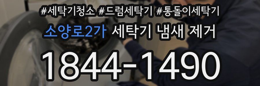소양로2가 세탁기 냄새 제거