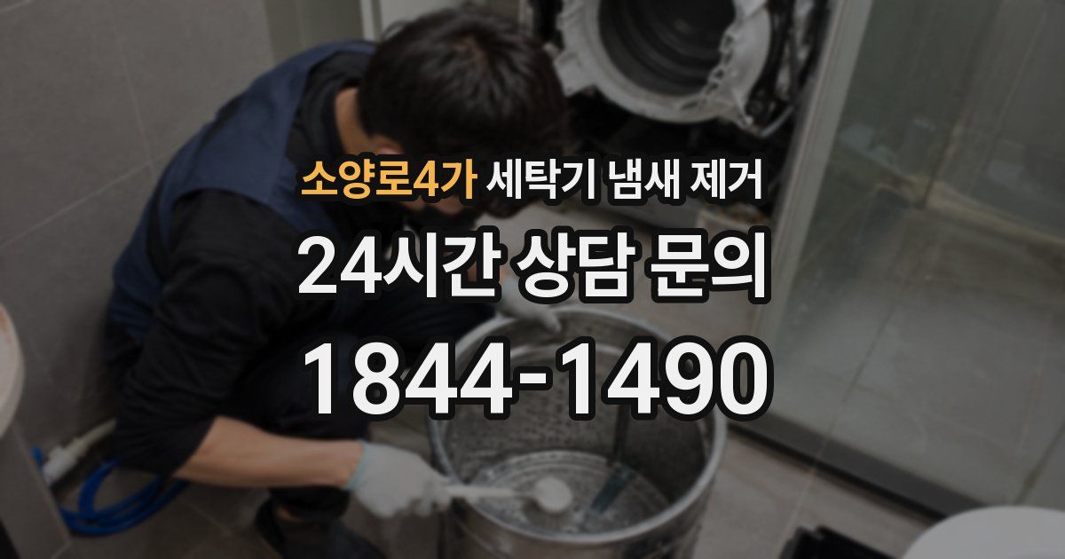 소양로4가 세탁기 냄새 제거