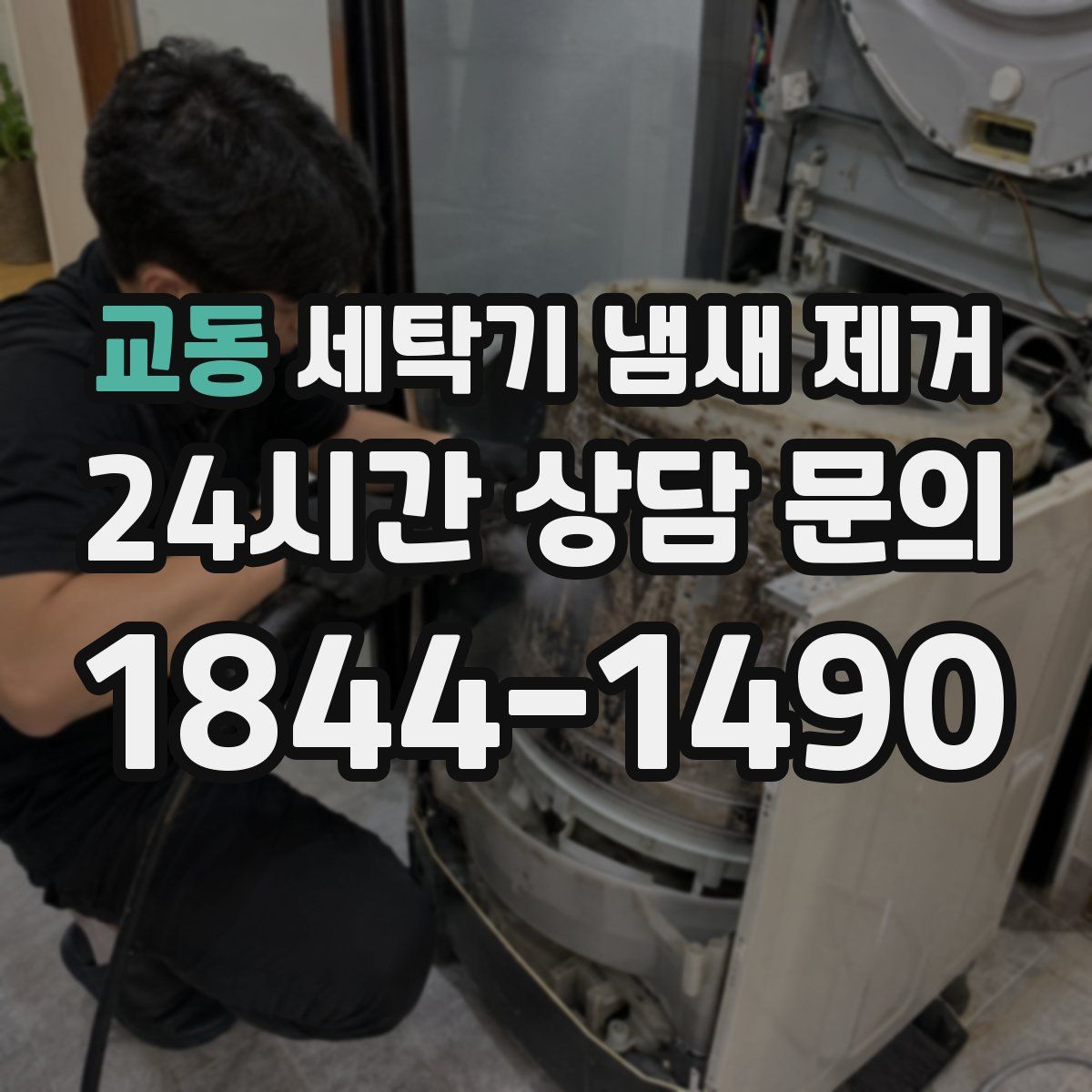 교동 세탁기 냄새 제거